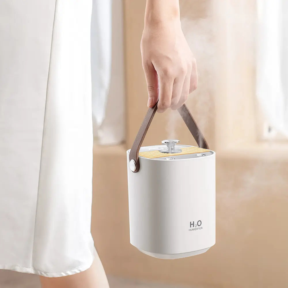 Modern Humidifier Convenient charging and usability